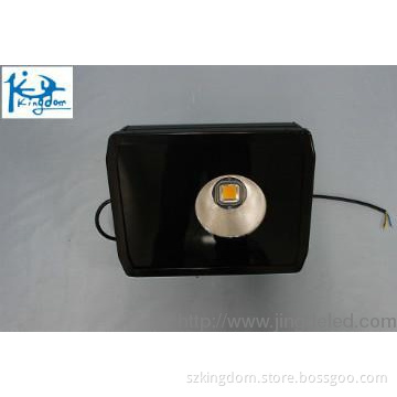 LED tunnel light 100W
